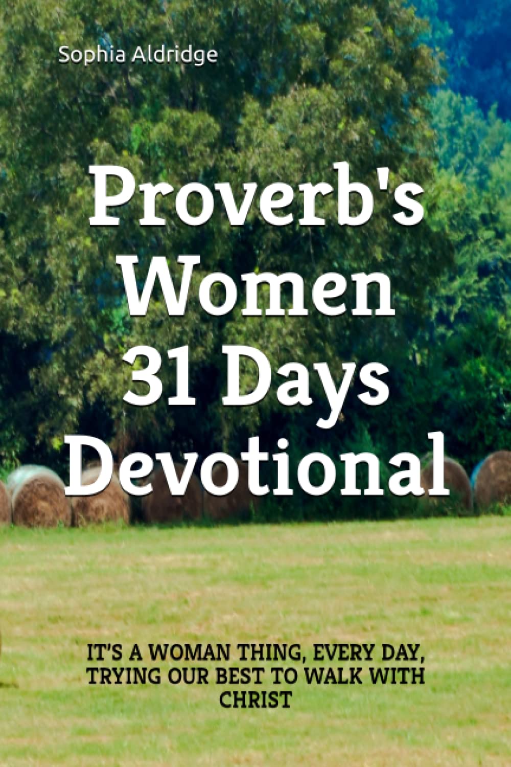 Proverb's Women 31 Days Devotional Book